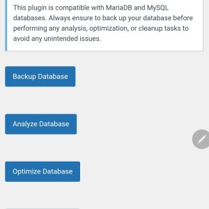 Wordpress Database Debug